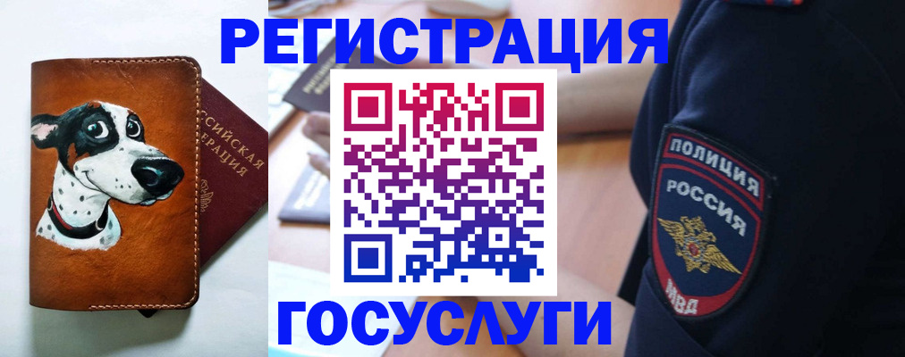 временная регистрация в квартире в Котельниково